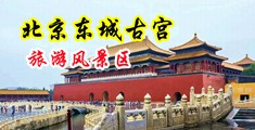 嗯啊视频好爽中国北京-东城古宫旅游风景区